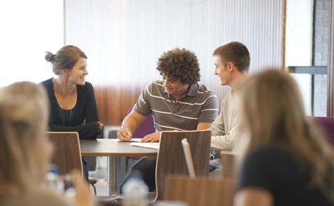 Group of student consultants