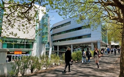 University of Auckland