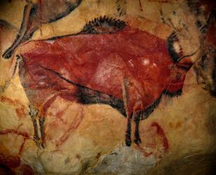 Bison painting at Altamira cave