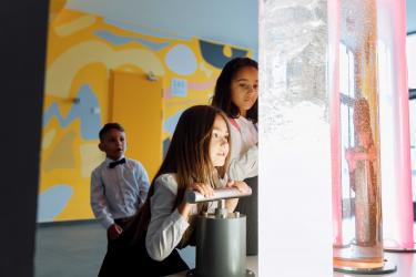 Children looking at coloured liquids in large tubes