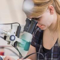 undergraduate mechatronic looking through a telescope