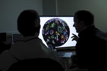 Molecular Phenotyping researchers in front a computer screen