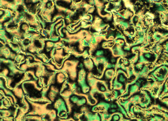 Textures in a mesoscopic system made of a nematic liquid crystal doped with nanoparticles.